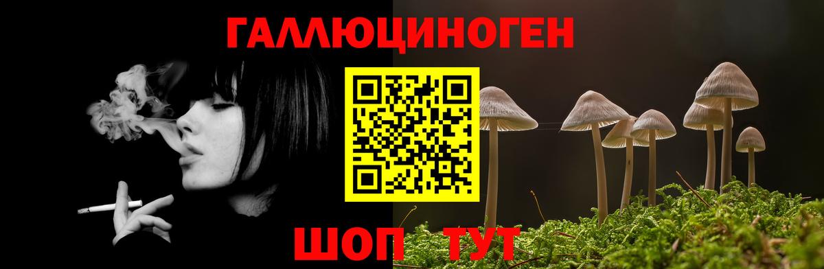Галлюциногенные грибы MAGIC MUSHROOMS Соль-Илецк